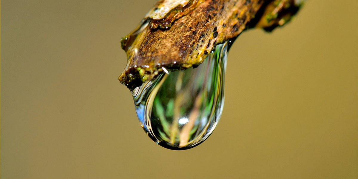 Sicilia nella morsa della siccità: in campagna la “guerra” per l’acqua